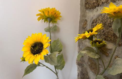 Casa das Flores - Foto 20