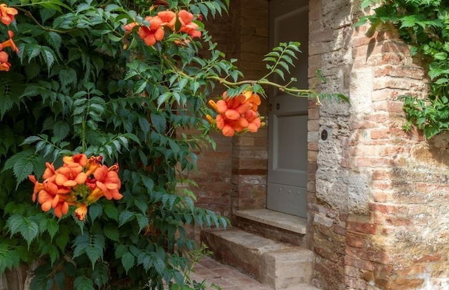 Borgo D'Asso - Foto 12