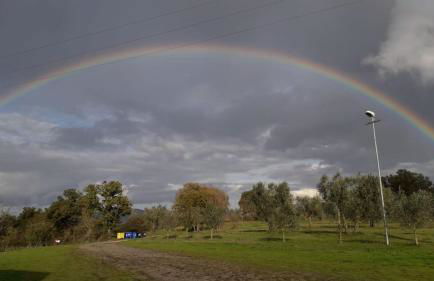 Agriturismo Podernuovo - Foto 65