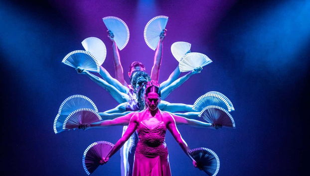 Espectáculo Olé Flamenco Show - Foto 3