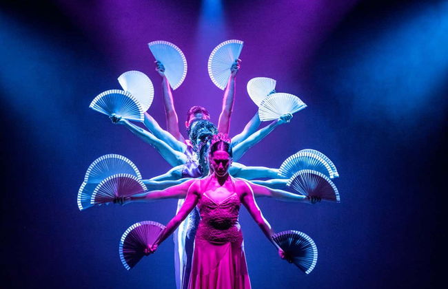 Espectáculo Olé Flamenco Show - Foto 3