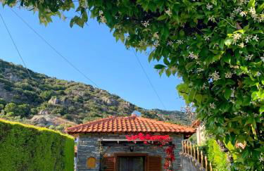 Georgia's House Sykia - Foto 14