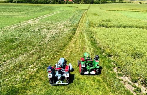 Ferienidyll in Gielow an der Seenplatte - Photo 29