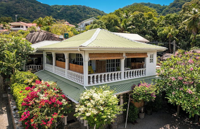 Beau Bamboo - Foto 67