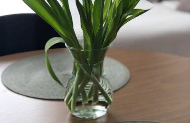 Metro Art Scandi Studio - Foto 8