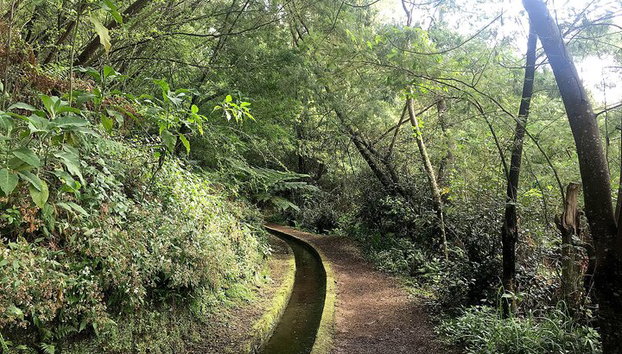 Levada do Rei - Levada do Rei - Foto 5