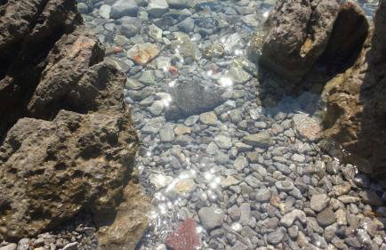 Apartments Paco & Bony - Photo 67