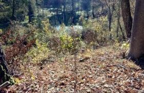 Domki na polance - Foto 26