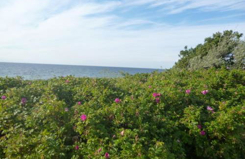 Haus Lavendel - Foto 31