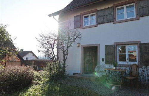 Zurück zur Wurzel - Foto 18