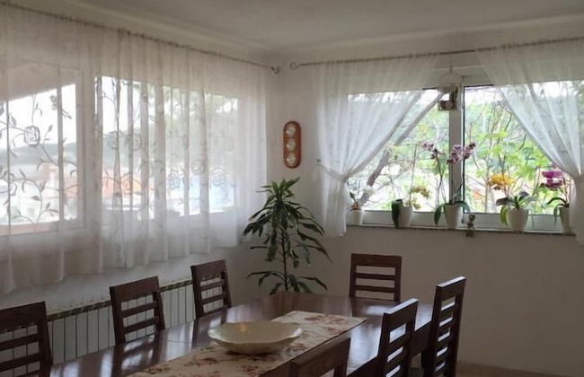 Mila - Yard - R2 - Foto 7