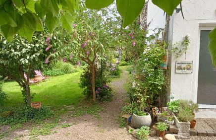 Casa Verde Sinnerthal - Foto 32