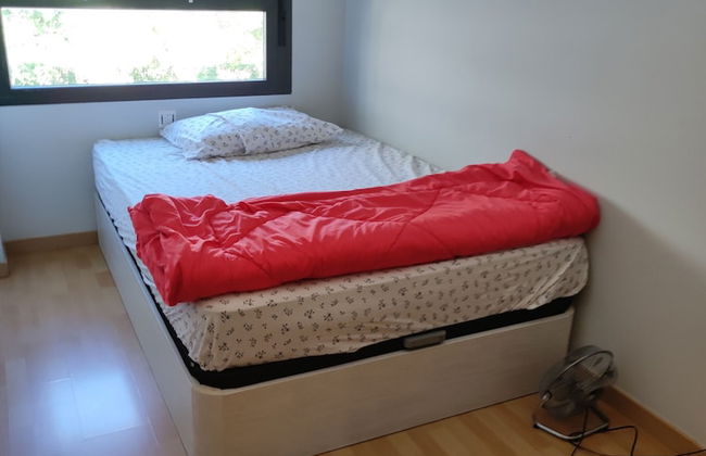 HIDALMEN Arte Rupestre - Photo 3