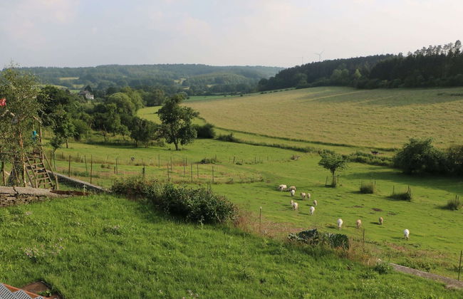 Vintage Holiday Home in Couvin near River - Foto 20