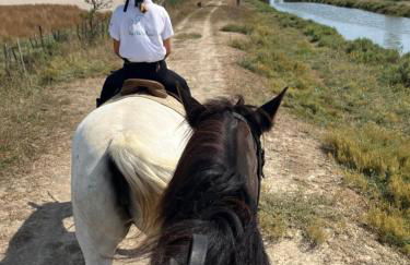 Mas Andalou Fabuleuse première ligne de mer, plage privative - Foto 53