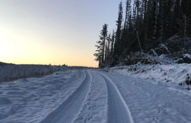 Gorgeous boutique off-grid cottage near Peebles - Foto 80