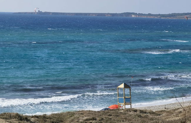 la corte degli ulivi - Foto 71