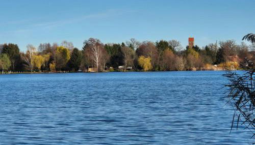 Ferienhaus am See - Foto 5