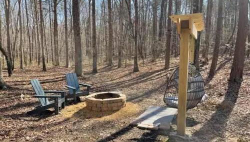 The Snug Nest Nestled in Canopy Woods - Foto 3