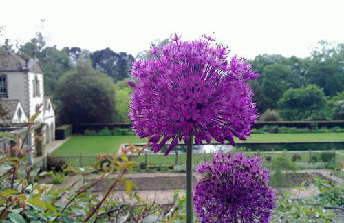 Penmachno Hall - self catering suite - Foto 40
