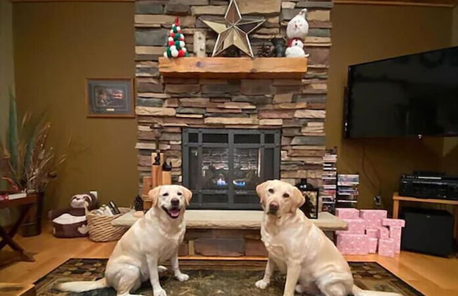 Lazy Dog Lodge on Minong Flowage - Foto 13