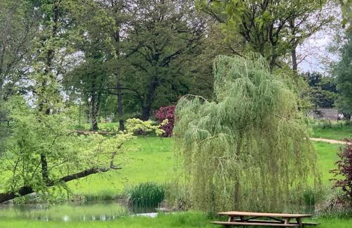 Private Apartment at Woodland Retreat - Foto 25