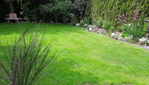 Storchenblick-No-1 - Foto 4