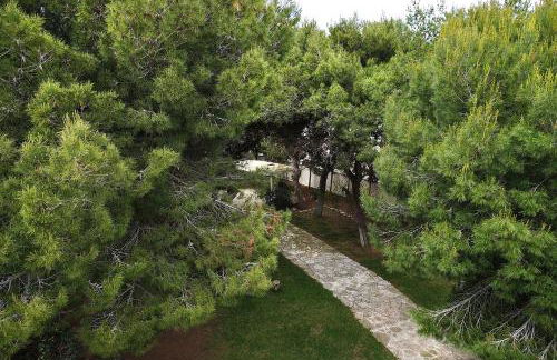 Villa Memia - Foto 4