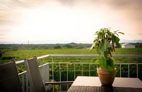 Ferienwohnen im Ziegelfeld - Foto 45