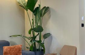 Luxury apartment Monvi near Bačvice beach and old town - Foto 10