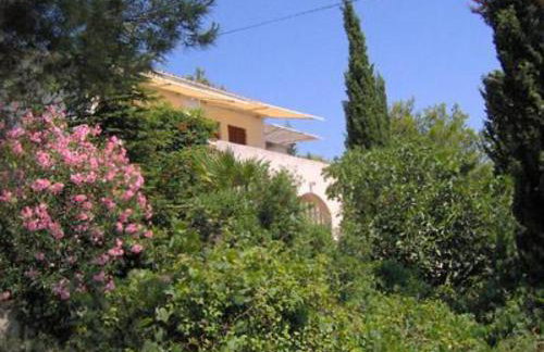 Apartments Zlatko - Photo 4