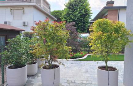 La Corte di Giovanna - Foto 24