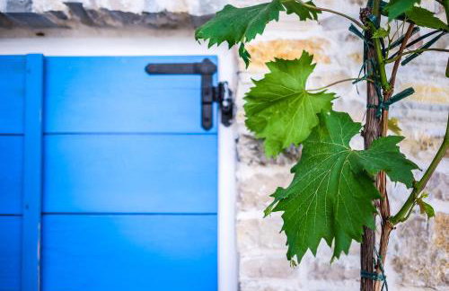 Stone House Kula Milica - Foto 21