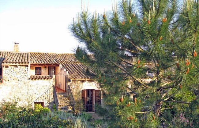 Finca Sa Cova Vella - Photo 52