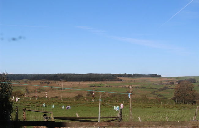 Miner's Cottage - Foto 14