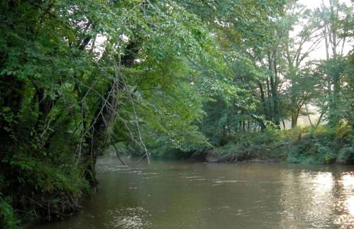 Impressive Secluded Cabin Rental with Hot Tub Along the Chattahoochee River, Georgia - Foto 19