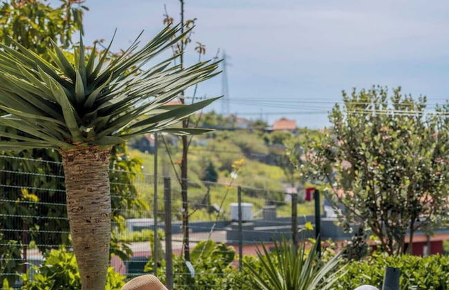 Vacations in the Countryside - Casinha dos Canhas - Foto 34