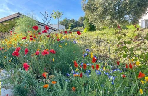 Chez Georges - Maison 6 - Les gîtes du Verdon - Foto 31