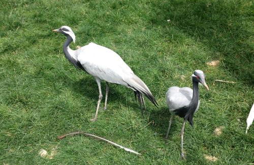 Apartamento Turistico Cigüeña de Arguedas - Foto 49