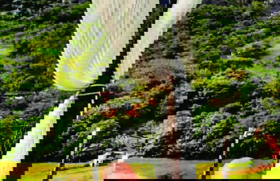 Rangel Village - Hotel Fazenda Pedra Do Rodeadouro - Foto 44