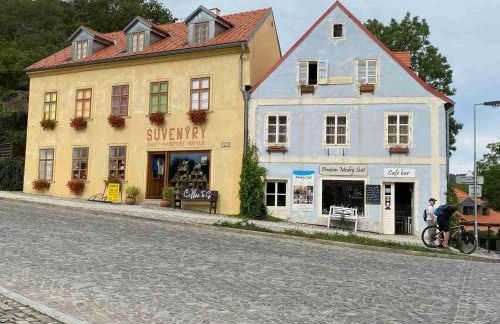 Ferienapartments Försterei Eibenstock - Foto 51