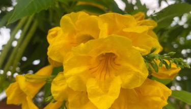 Circeo Mon Amour - Foto 2