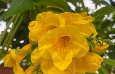 Circeo Mon Amour - Foto 2