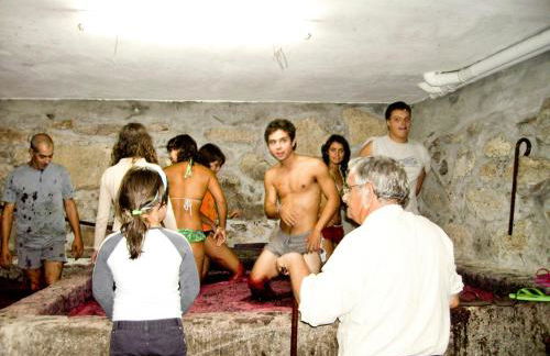 Quinta Da Longra - Foto 18