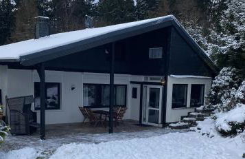 Schönwald Waldchalet am Musenberg - Foto 1