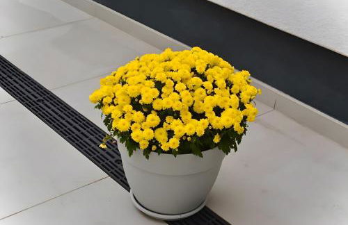 Ferienwohnung In Der Grafschaft - Foto 17