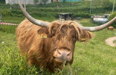 Da MammaMimma - Foto 28