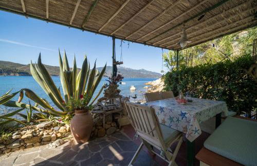 Agave direclty on the beach - Goelba - Foto 6