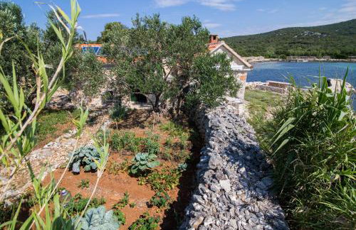 House Landjin - Foto 15