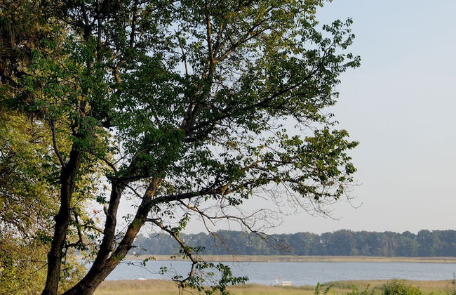 Gut Grubnow Rügen - Foto 49